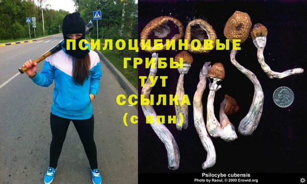 тгк Баксан