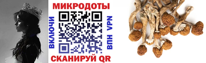 Псилоцибиновые грибы мухоморы  Ессентуки 