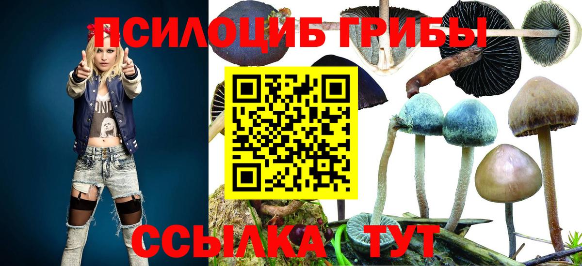 Галлюциногенные грибы мухоморы Ессентуки