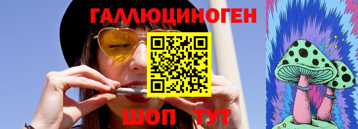 Ессентуки  Галлюциногенные грибы Psilocybine cubensis  Вход с VPN 