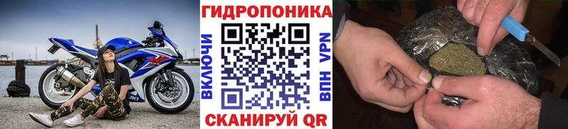 наркошоп  Ессентуки  Шишки марихуана план 
